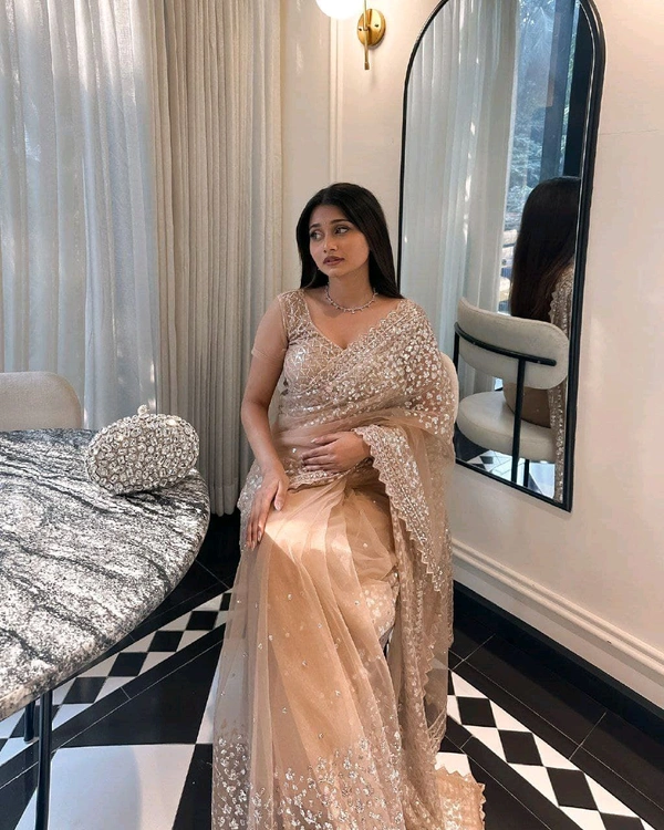 Beautiful Butterfly Net Sequence Work Saree With Blouse Piece