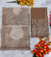 Beautiful Butterfly Net Sequence Work Saree With Blouse Piece