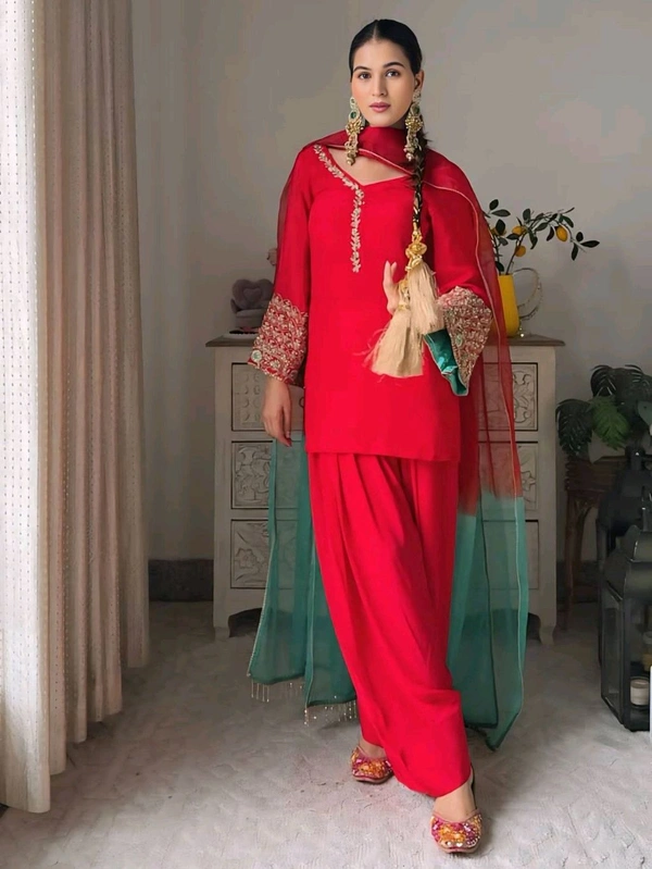 Designer Partywear Farsi Salwar Suit - M