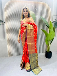 Jequard Zip And Go Saree Gown - XXL