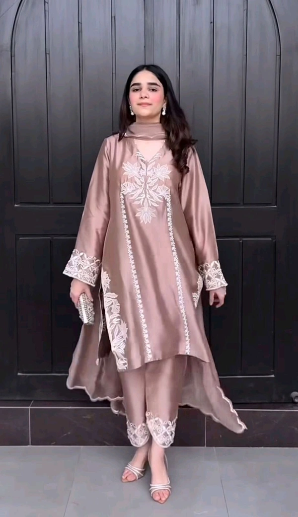 Partywear Farsi Salwar Suit - M