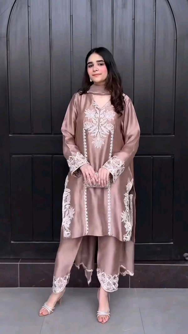Partywear Farsi Salwar Suit - L