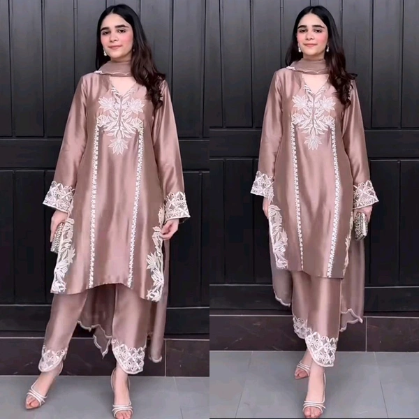 Partywear Farsi Salwar Suit - XXL