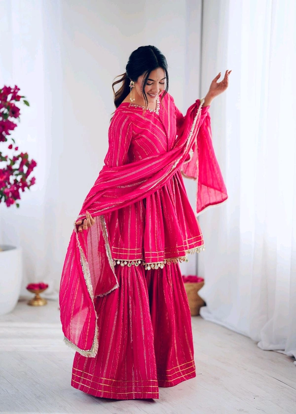 Real Modelling Shoot Real Mirror Work Sharara Suit - L