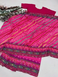 Real Mirror + Handwork Saree (Full Stiched Choli)