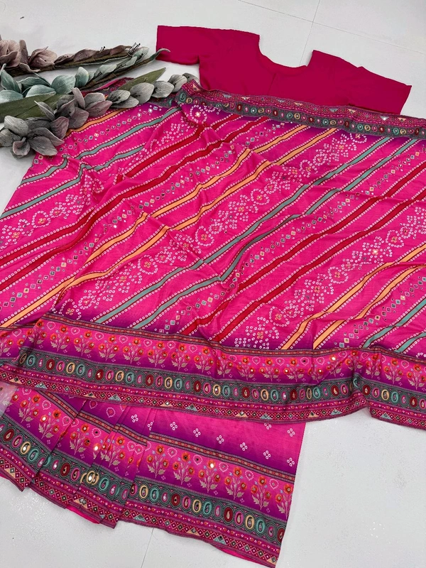 Real Mirror + Handwork Saree (Full Stiched Choli)