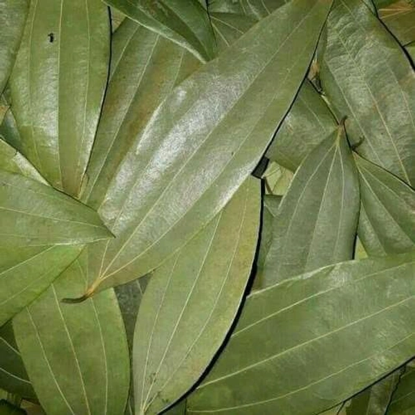 Bay Leaf 