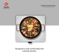 Surya Lpg Gas Stove 1 Burner Brass Stainless Steel Body 