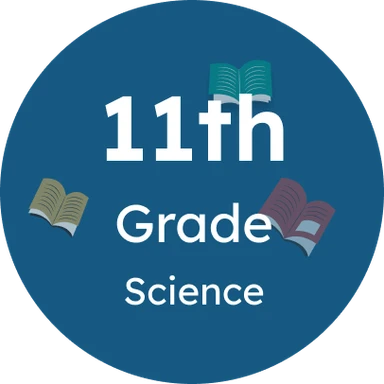 Grade 11 - Science Stream