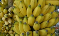 Banana(అరటిపండు) - 12 NO