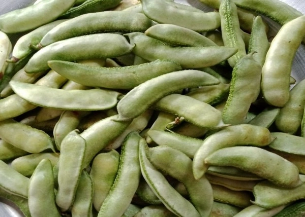 Broad Beans(చిక్కుడు కాయ) - 1 KG