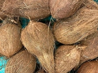 Coconut(కొబ్బరికాయ) - 1 NO