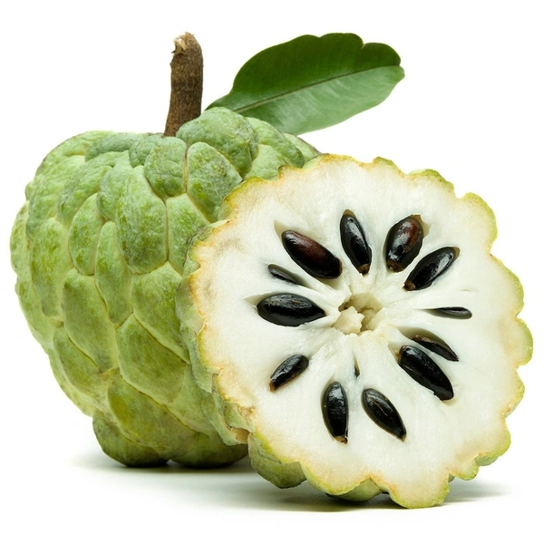Custard-Apple(సీతాఫలం) - 6 NO