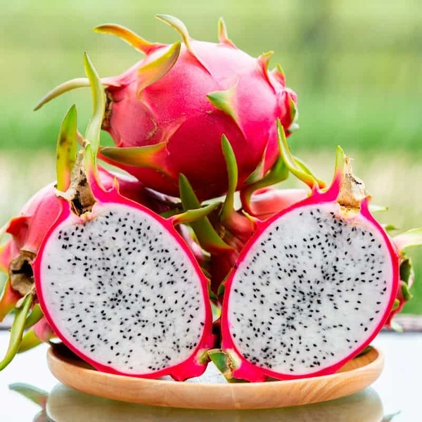 Dragon fruit - 3 NO