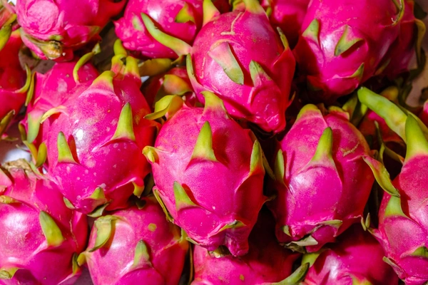Dragon fruit - 3 NO