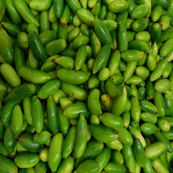 Gherkin(దొండకాయ) - 1 KG