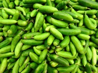 Gherkin(దొండకాయ) - 1 KG