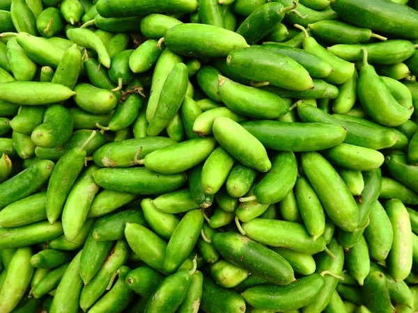 Gherkin(దొండకాయ) - 1 KG