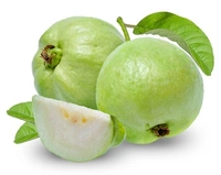 Guava(జామ కాయలు) - 6 NO