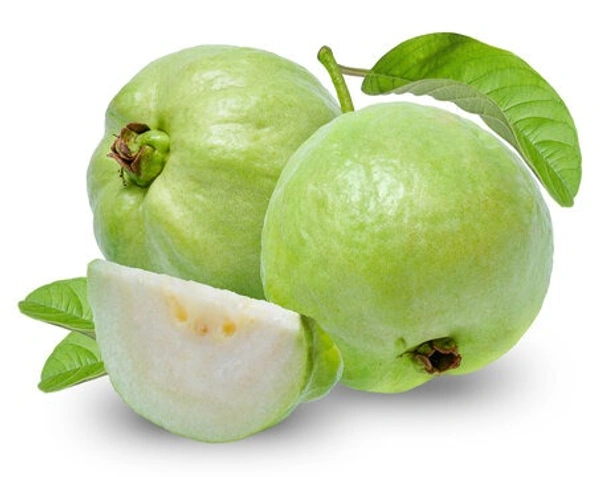 Guava(జామ కాయలు) - 6 NO