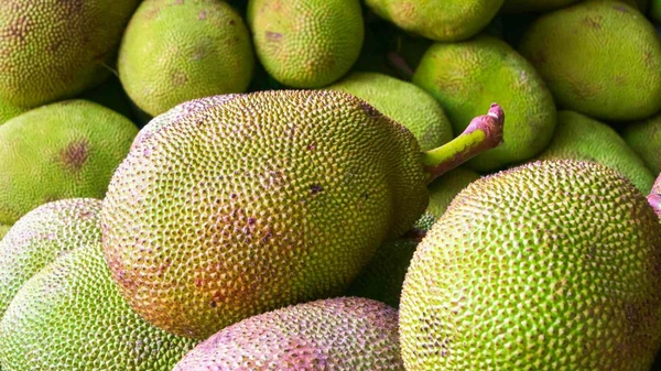 Jackfruit(పనస కాయ) - 1 NO