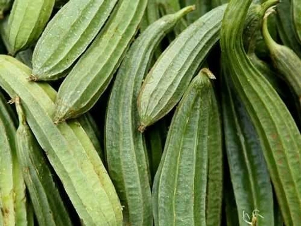 Ridged Gourd(బీరకాయ) - 1 KG