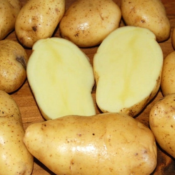 Potato(బంగాళదుంప) - 1kg