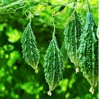 Bitter groud(కాకర కాయ) - 1kg