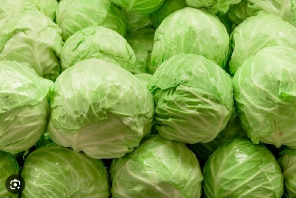 Cabbage - 1 NO