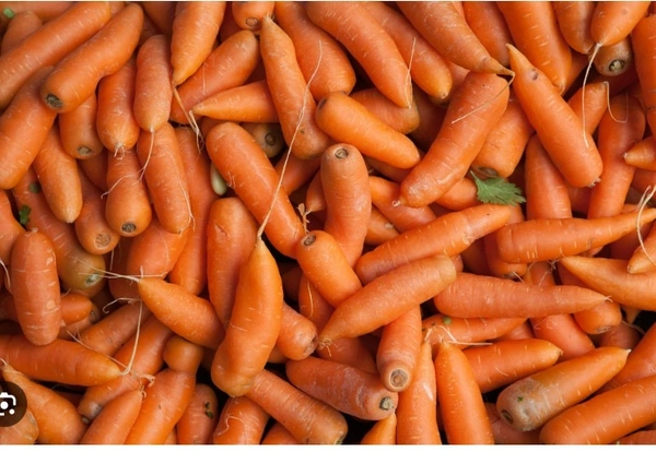Carrot - 1KG