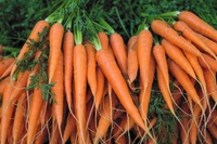 Carrot - 1KG