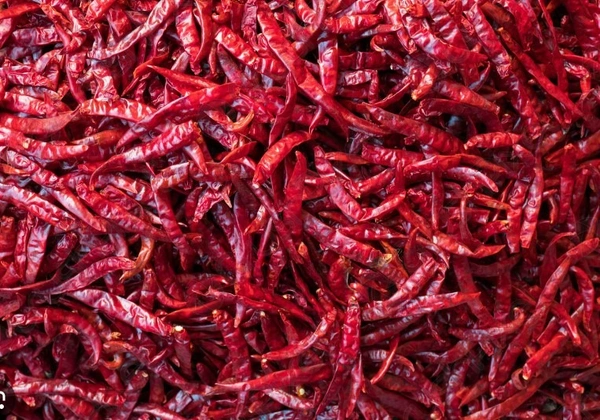 Dry Red Chillis(ఎండు మిర్చి) - 1 KG
