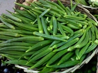 Lady finger(బెండకాయలు) - 1 KG
