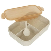 Lunch Box 3 Compartment With Spoon