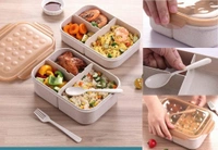 Lunch Box 3 Compartment With Spoon