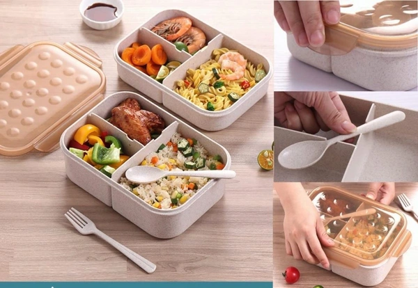 Lunch Box 3 Compartment With Spoon