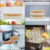 Lunch Box 3 Compartment With Spoon