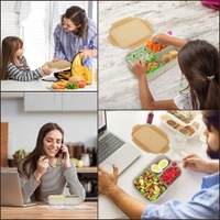 Lunch Box 3 Compartment With Spoon