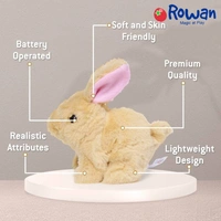 Walking And Talking Rabbit 
