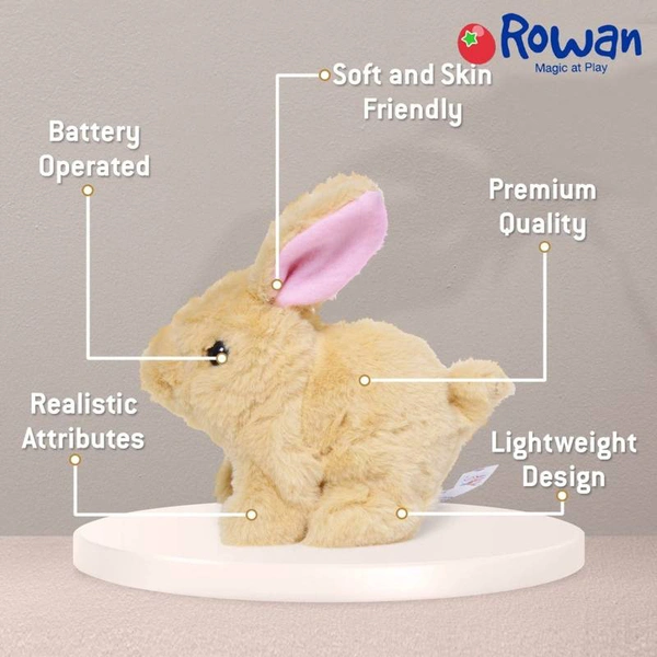 Walking And Talking Rabbit 