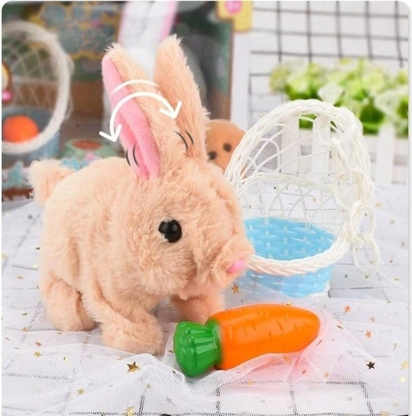 Walking And Talking Rabbit 
