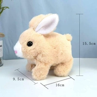 Walking And Talking Rabbit 