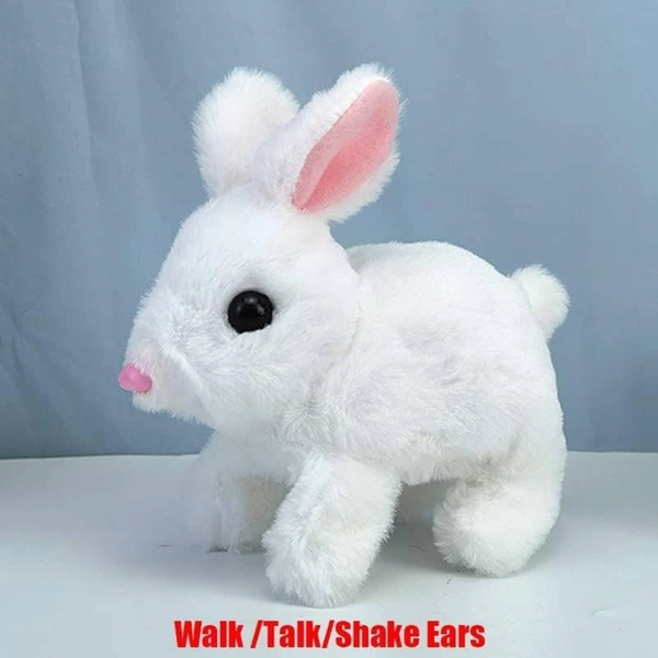 Walking And Talking Rabbit 