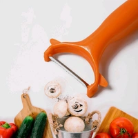 2 In 1 Kitchen Combo Gas Lighter With Vegetable Peeler 