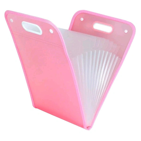 Premium High Quality 13 Divisional A4 Sized File Folder With Safety Double Snap Button And Easy Handle MC547