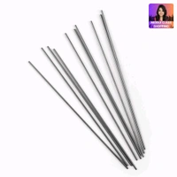 Camlin 0.7mm Leads 10pcs Box MC553