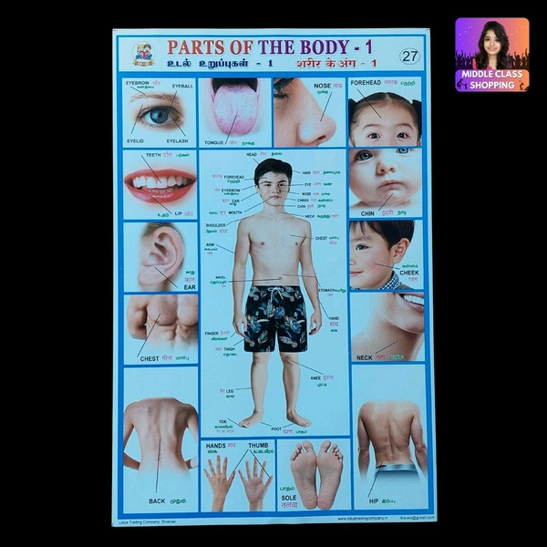 Students Project And Assignment Sheet Stickers (PARTS OF THE BODY) MC755