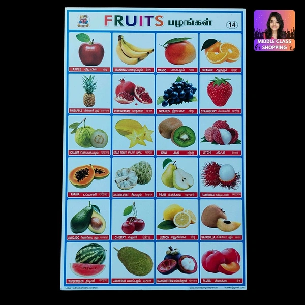 Students Project And Assignment Sheet Stickers (FRUITS) MC758