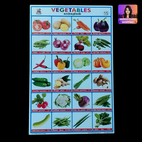 Students Project And Assignment Sheet Stickers (VEGETABLES) MC759