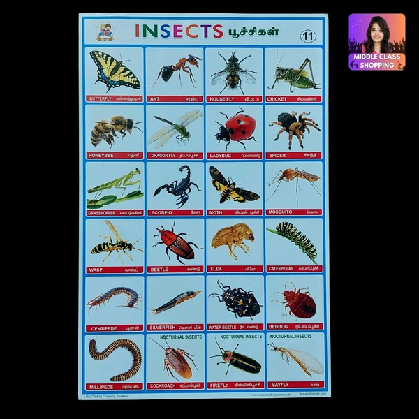 Students Project And Assignment Sheet Stickers (INSECTS) MC761